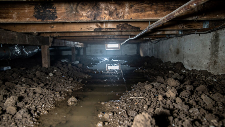 What Should Charlotte Homeowners Know About Crawl Space Flooding?